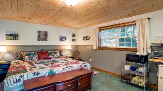 Mt. Baker Lodging Cabin #72 – PET FRIENDY, MT VIEWS, BBQ, SLEEPS 2!