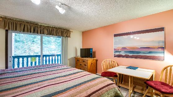 Mt. Baker Lodging Condo #46 – CONVENIENT, ECONOMICAL, KITCHENETTE, SLEEPS-2!